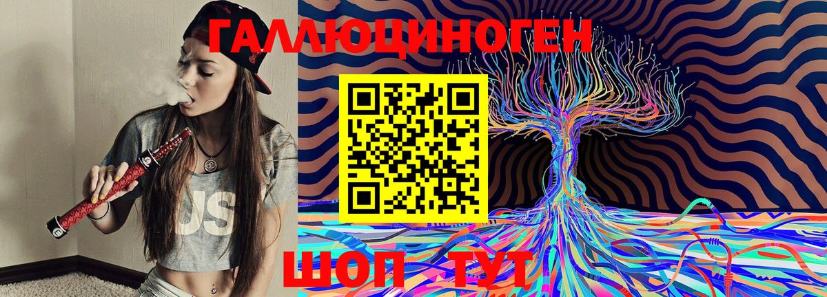 Тында  Галлюциногенные грибы прущие грибы  Галлюциногенные грибы MAGIC MUSHROOMS  Вход с VPN 